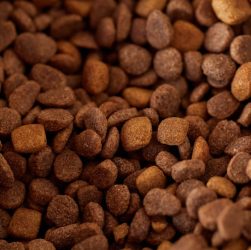 UK pet food recall