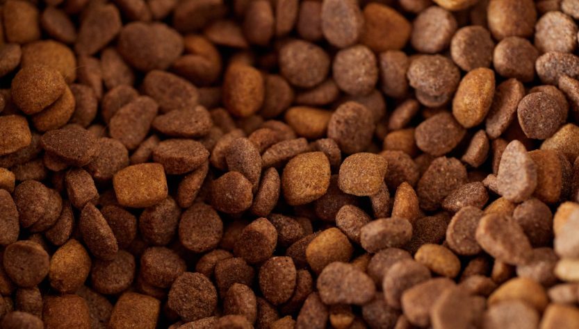 UK pet food recall